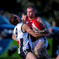 RD15 Sale v Moe Snrs-019