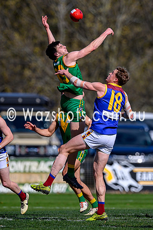 20240907 2nd SF Leongatha v Moe Seniors-20
