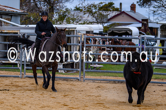 20240519 Calulu Creek Team Penning-9