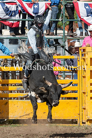 2020 QBN Rodeo-4.jpg