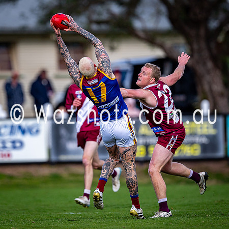 QF Traralgon v Moe Seniors-011