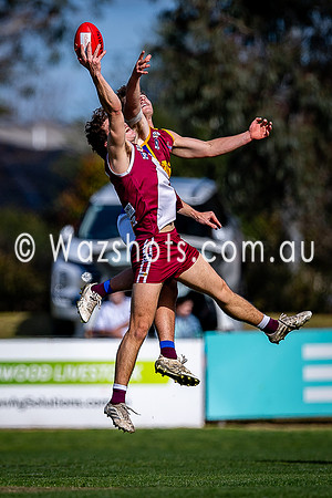 Prelim Final Traralgon v Moe Seniors-039