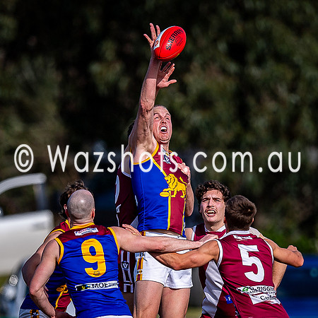 Prelim Final Traralgon v Moe Seniors-061