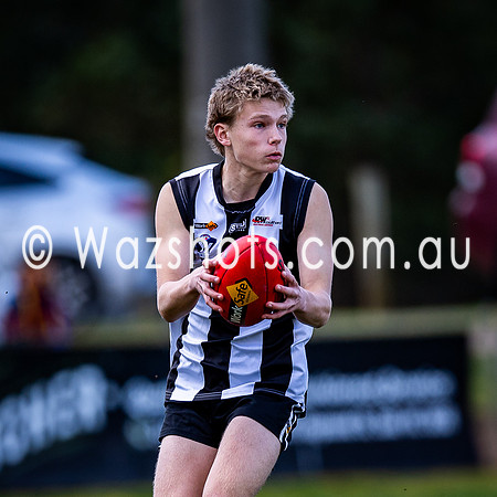 RD15 Sale v Moe 18s-03