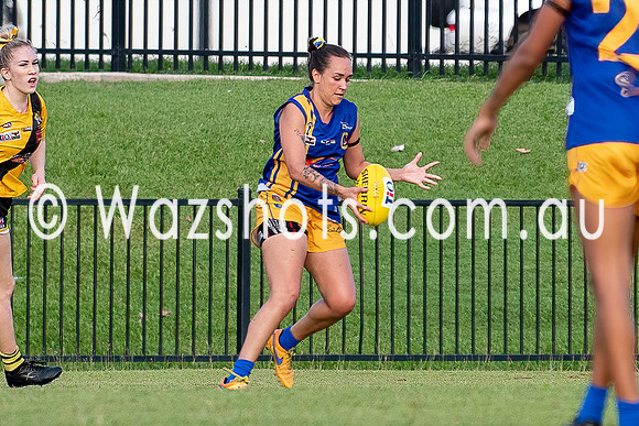 20201017 WPL v Tigers-7.jpg