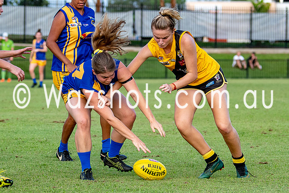 20201017 WPL v Tigers-12.jpg