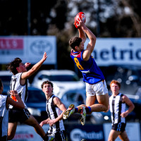 RD15 Sale v Moe 18s-09