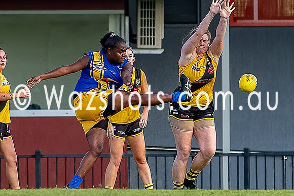 20201017 WPL v Tigers-4.jpg