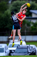 20260403 Latrobe v West All Stars-7