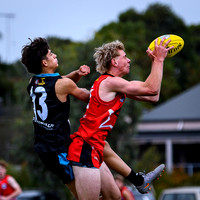 20260403 Latrobe v West All Stars-21