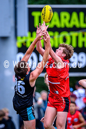 20260403 Latrobe v West All Stars-37
