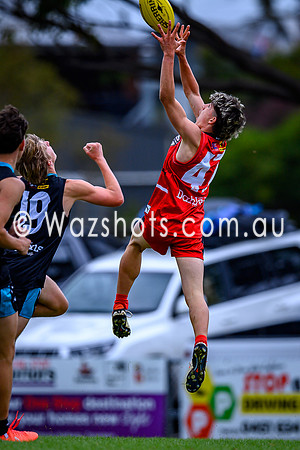 20260403 Latrobe v West All Stars-42