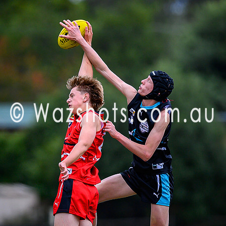 20260403 Latrobe v West All Stars-50