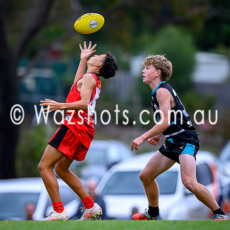 20260403 Latrobe v West All Stars-55