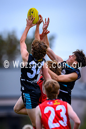 20260403 Latrobe v West All Stars-57