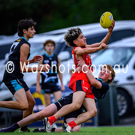 20260403 Latrobe v West All Stars-91