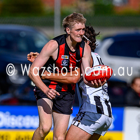 20260412 Maffra v Sale Seniors-26