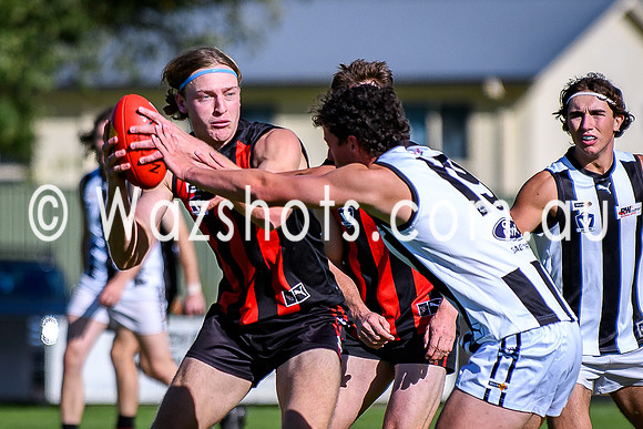 20260412 Maffra v Sale Seniors-35