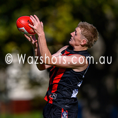 20260412 Maffra v Sale Seniors-45