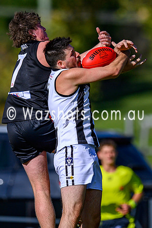 20260412 Maffra v Sale Seniors-46