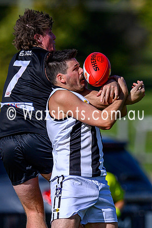 20260412 Maffra v Sale Seniors-47