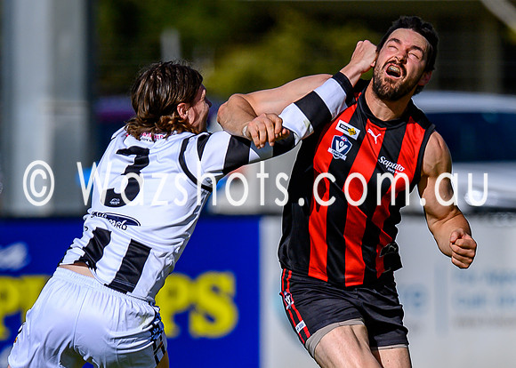 20260412 Maffra v Sale Seniors-52