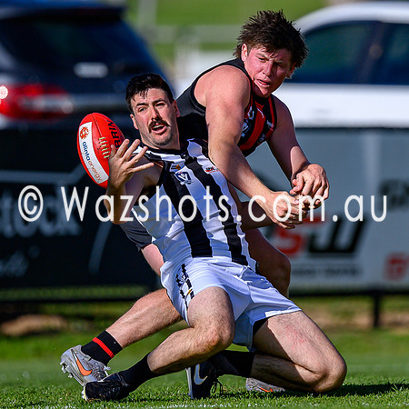 20260412 Maffra v Sale Seniors-49