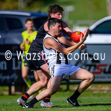 20260412 Maffra v Sale Seniors-48