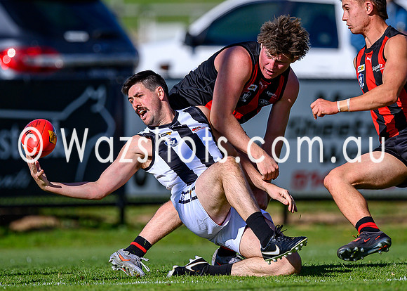 20260412 Maffra v Sale Seniors-50