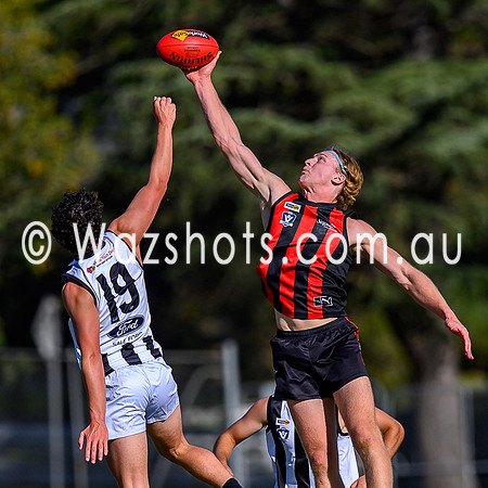 20260412 Maffra v Sale Seniors-57