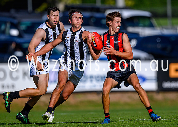 20260412 Maffra v Sale Seniors-58