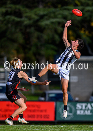 20260412 Maffra v Sale Seniors-68