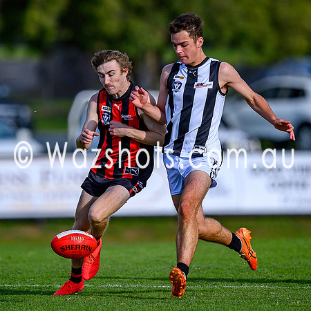 20260412 Maffra v Sale Seniors-79