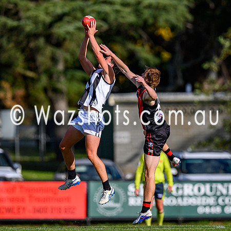 20260412 Maffra v Sale Seniors-85