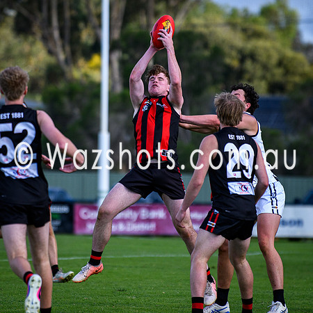 20260412 Maffra v Sale Seniors-92
