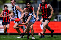 20260411 Maffra v Sale Reserves-8