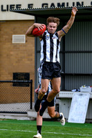 20260418 Sale v Morwell Seniors-1