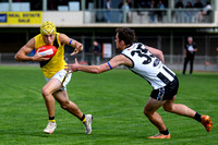 20260418 Sale v Morwell Seniors-18