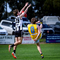 20260418 Sale v Morwell Reserves-1