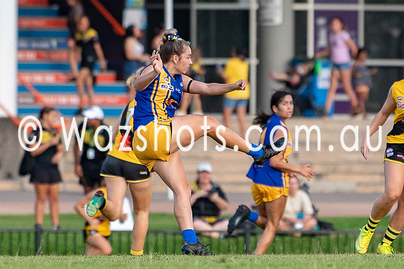 20201017 WPL v Tigers-3.jpg