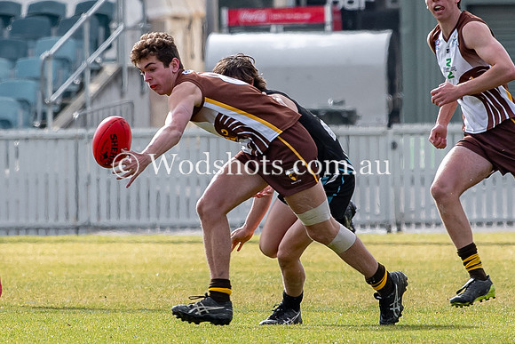 20190720 RS v Bekco-37.jpg