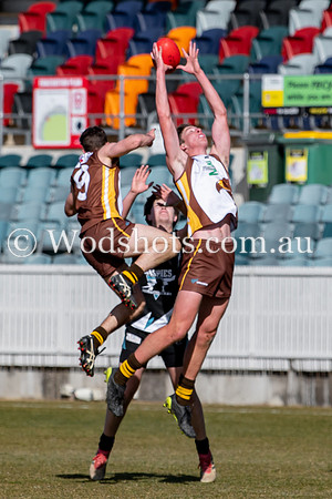 20190720 RS v Bekco-62.jpg