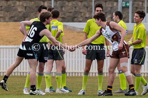 20190720 RS v Bekco-8.jpg
