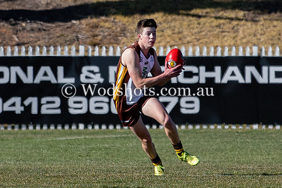 20190728 RS v QBN-15.jpg