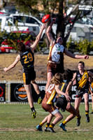 20190728 RS v QBN-16.jpg
