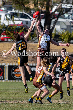 20190728 RS v QBN-16.jpg