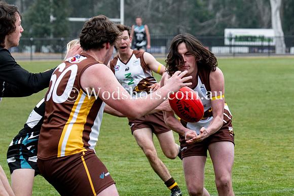 20190803 RS v Belco-21.jpg