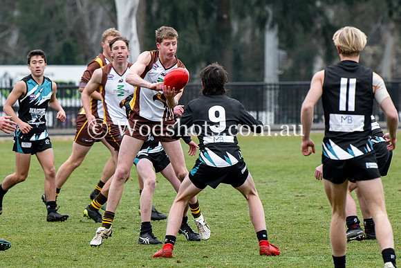 20190803 RS v Belco-25.jpg