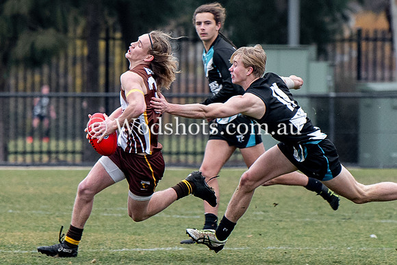20190803 RS v Belco-80.jpg