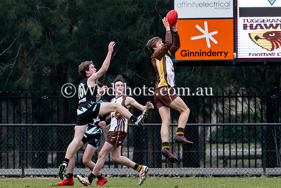 20190803 RS v Belco-61.jpg